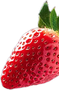 Background 02